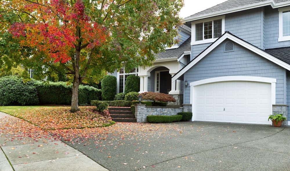 Total Estate Services